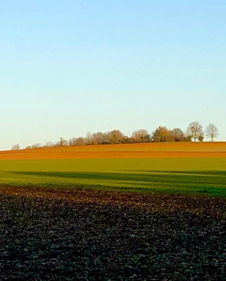 De La Tronchoyse Entre Vins Et Nature Tronchoy