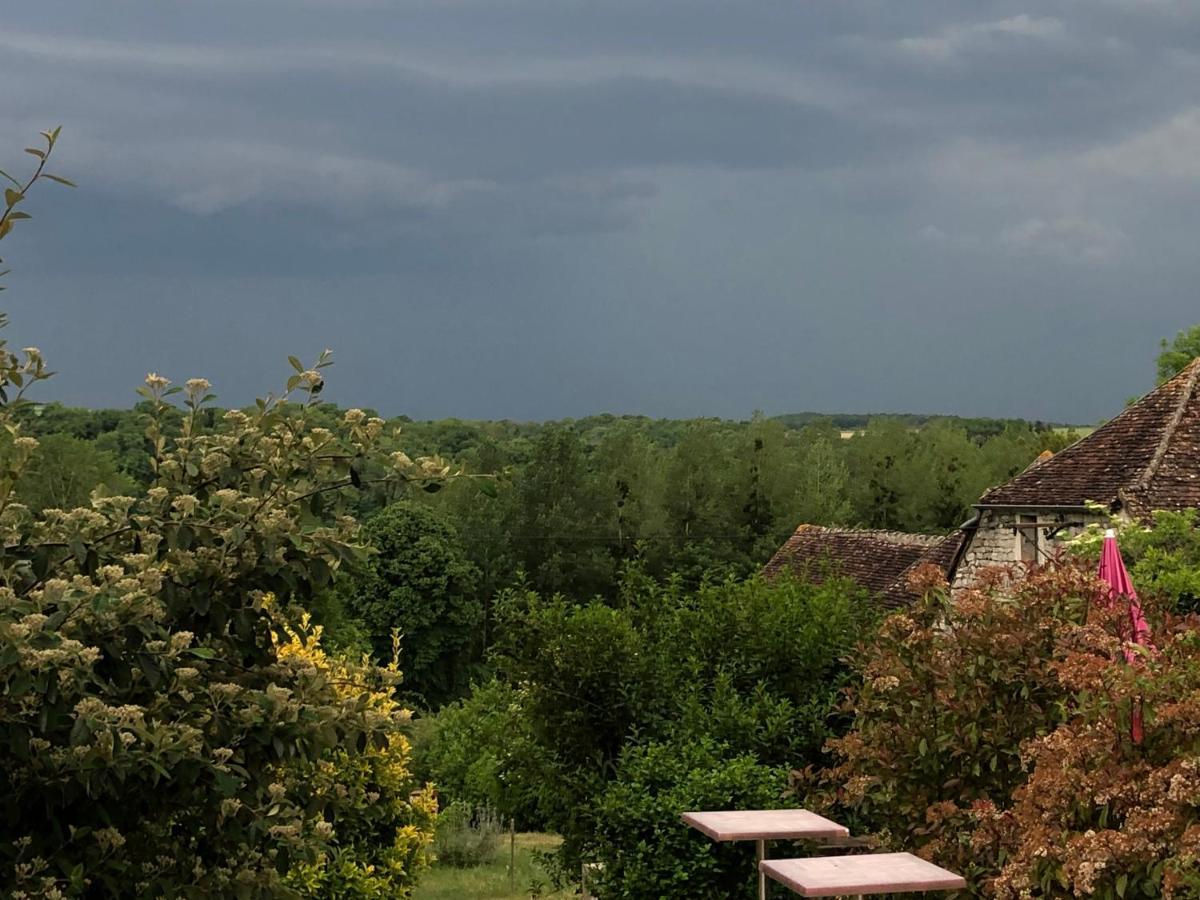 De La Tronchoyse Entre Vins Et Nature *